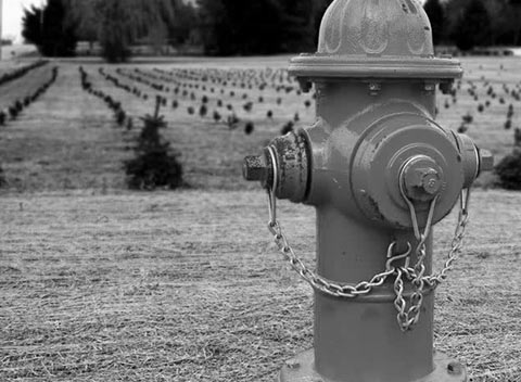 免费轰炸电话软件下载